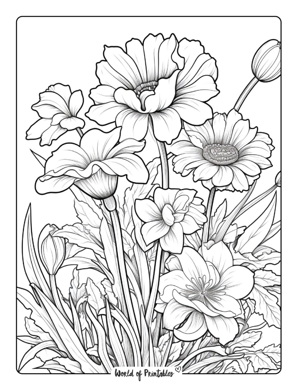 Plant Coloring Pages Printable