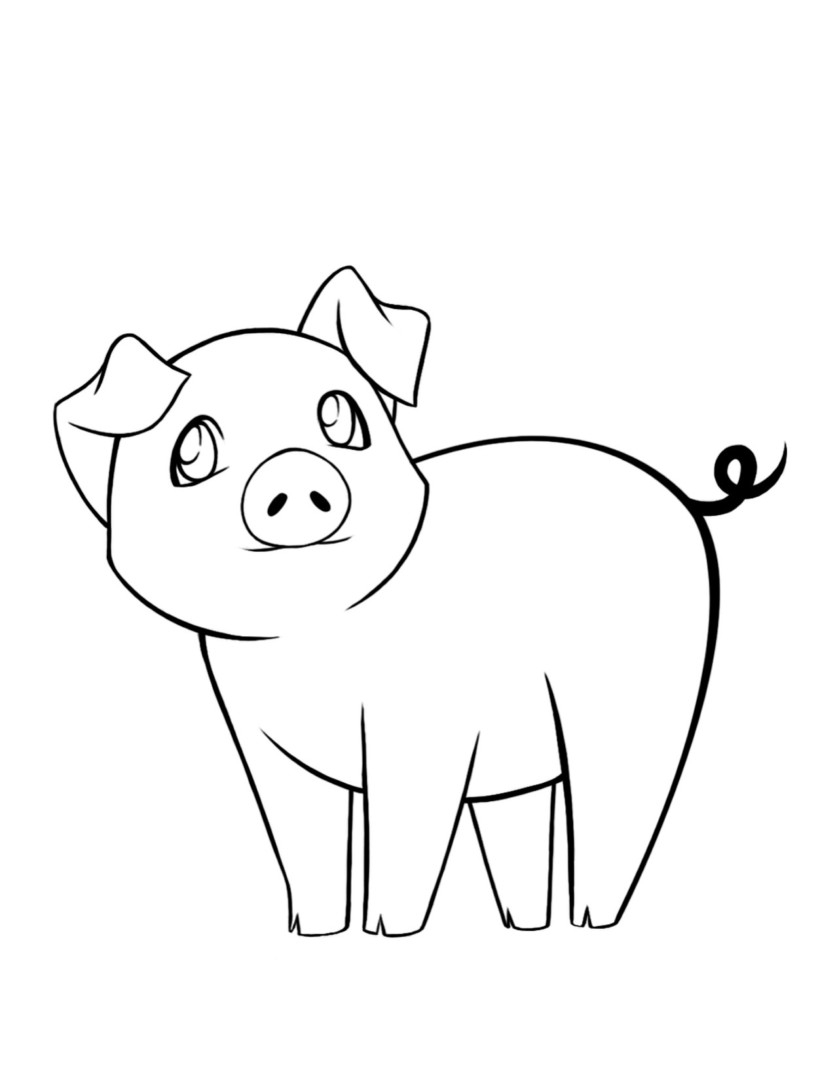 Flying Pigs Coloring Pages At GetColorings Free Printable Colorings Pages To Print And Color