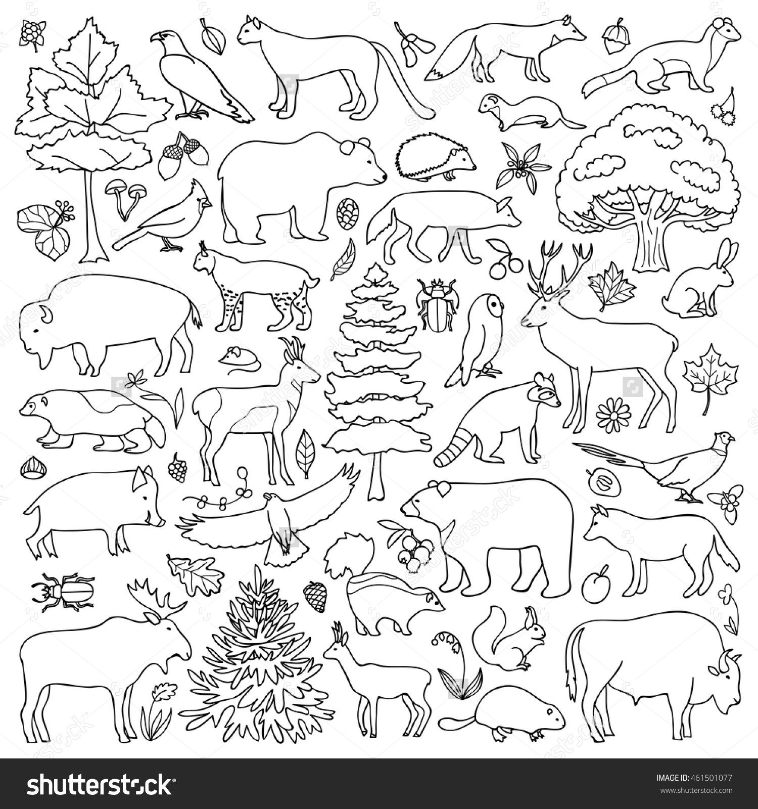 Forest Coloring Pages At GetColorings Free Printable Colorings Pages To Print And Color