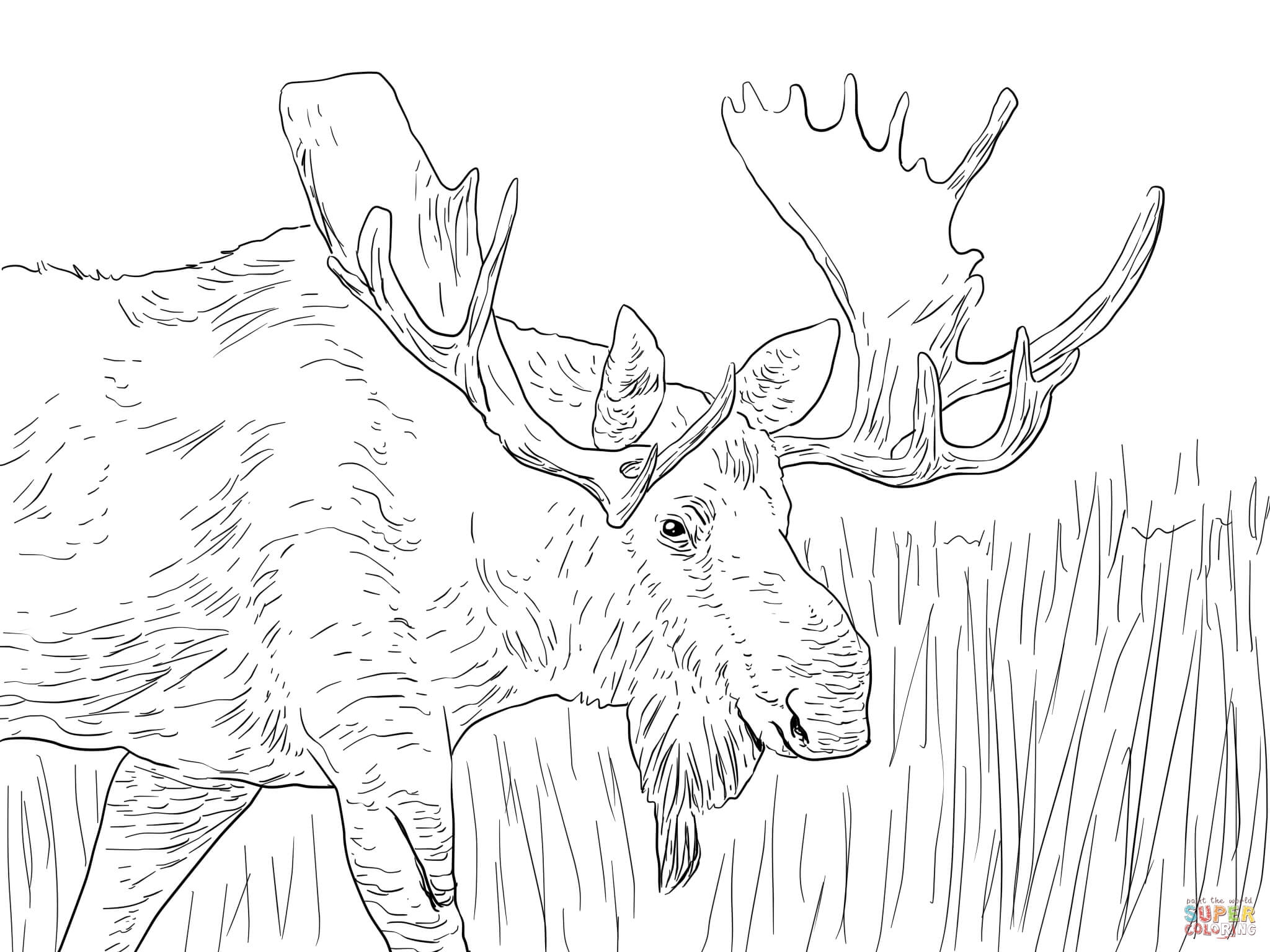 Alaska Coloring Pages Printable