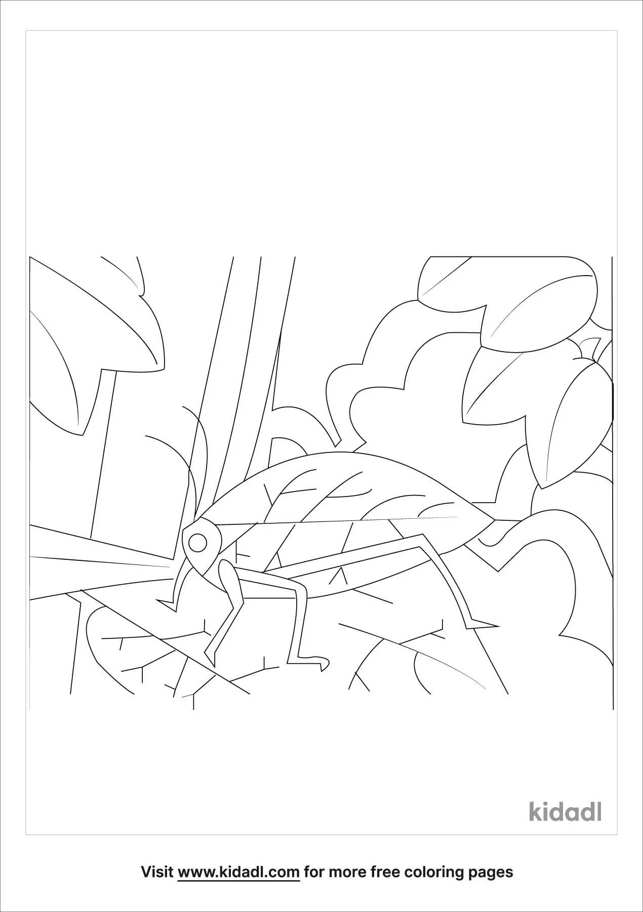 Animal Camouflage Coloring Pages Printable