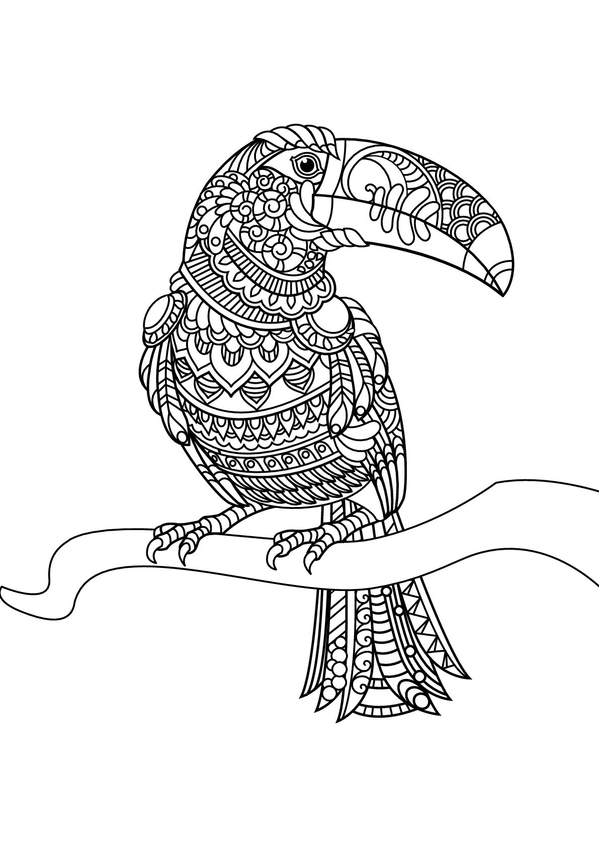 Free Book Toucan Birds Adult Coloring Pages