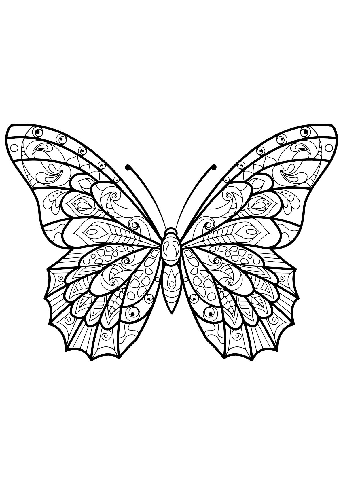 Free Butterfly Drawing To Download And Color Butterflie Coloring Pages For Kids