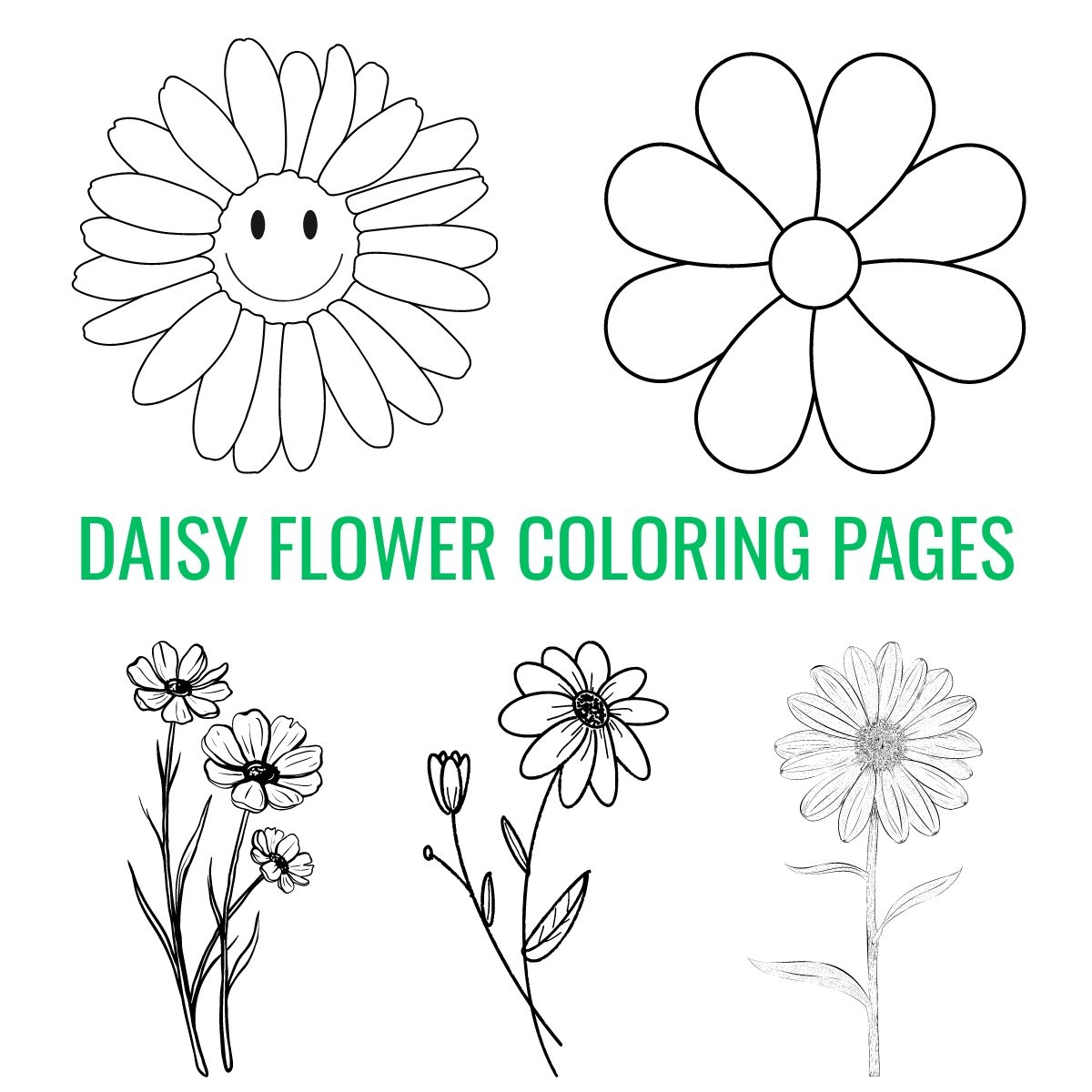 Free Printable Daisy Coloring Pages