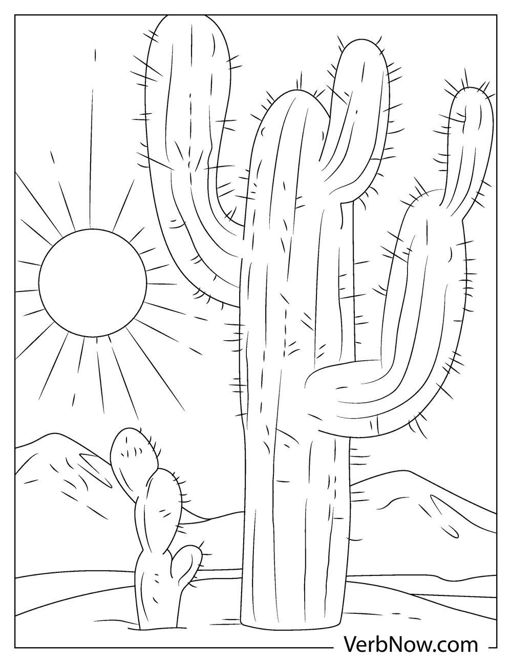 Free DESERT LANDSCAPE Coloring Pages Book For Download Printable PDF VerbNow
