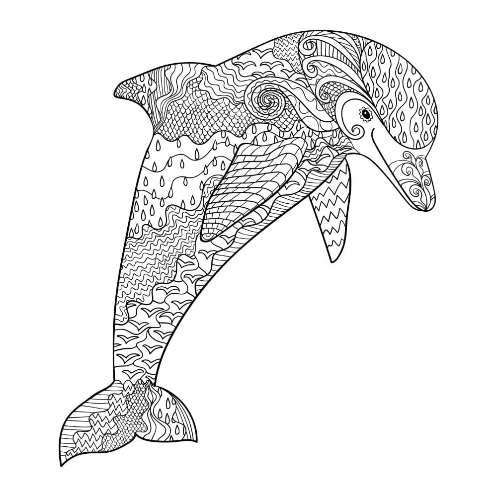 Free DOLPHIN Coloring Pages Your Kids Will Love Download Printable PDFs VerbNow