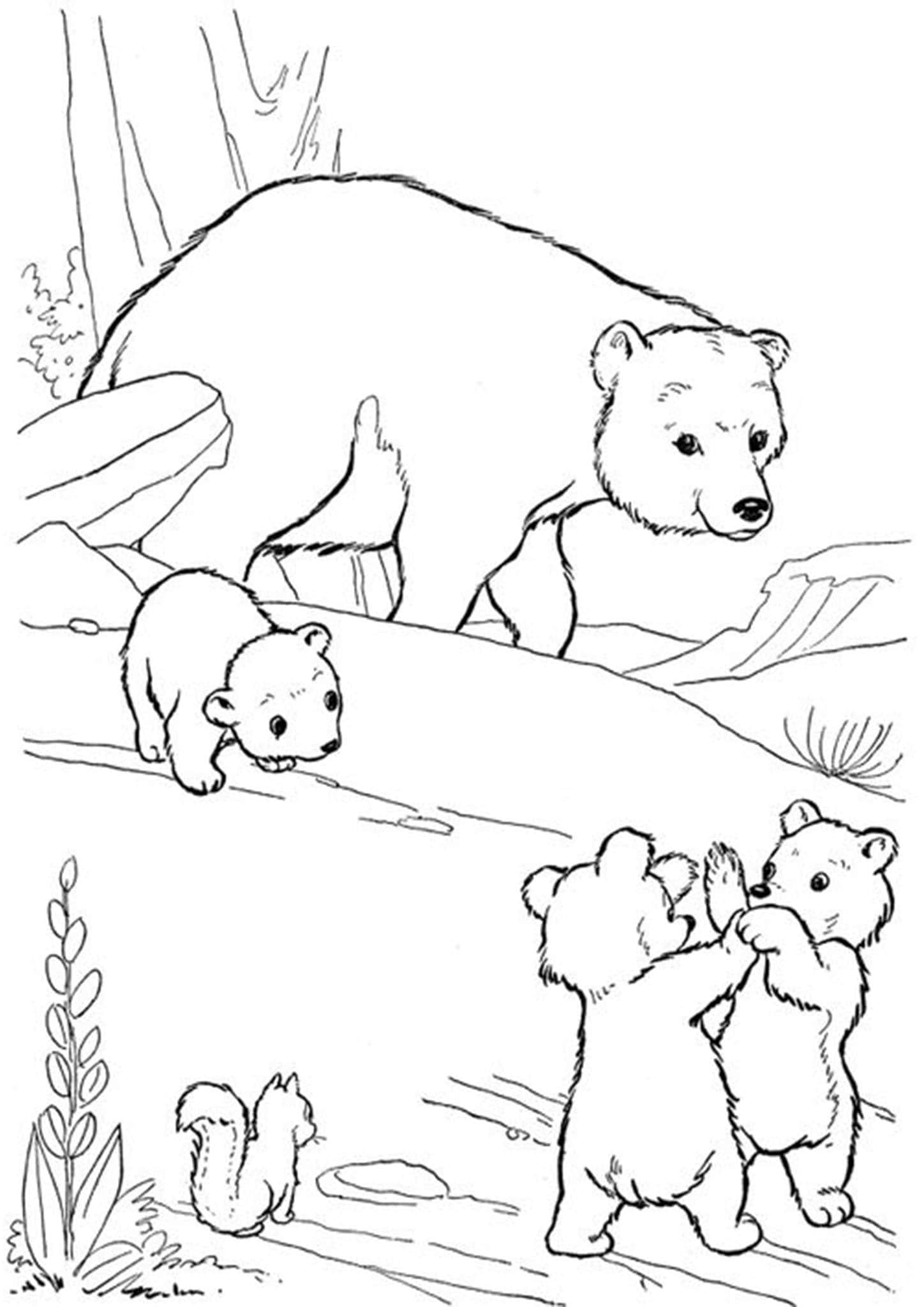 Free Easy To Print Bear Coloring Pages Tulamama