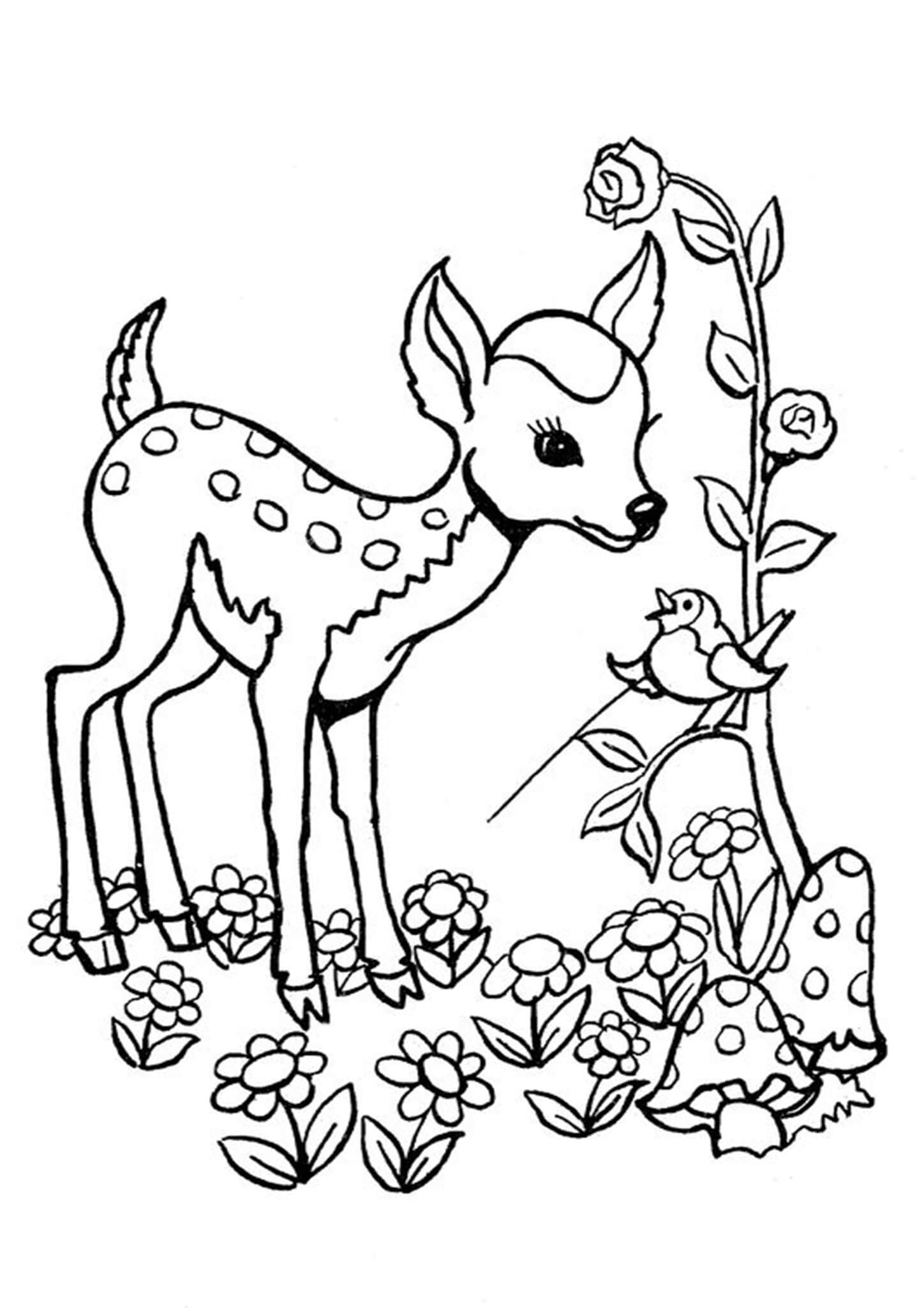 Free Easy To Print Deer Coloring Pages Tulamama