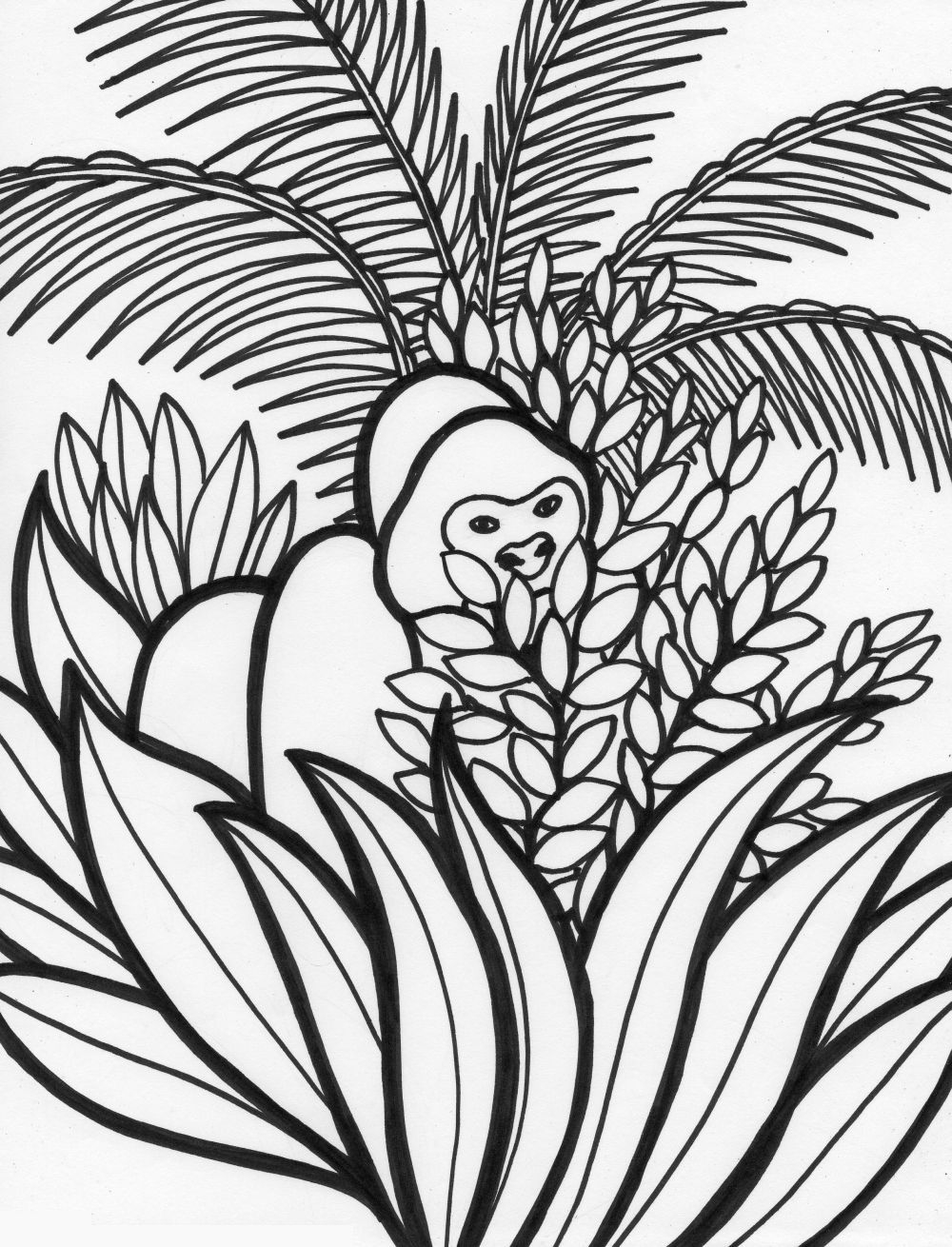 Free Free Printable Rainforest Coloring Pages Download Free Free Printable Rainforest Coloring