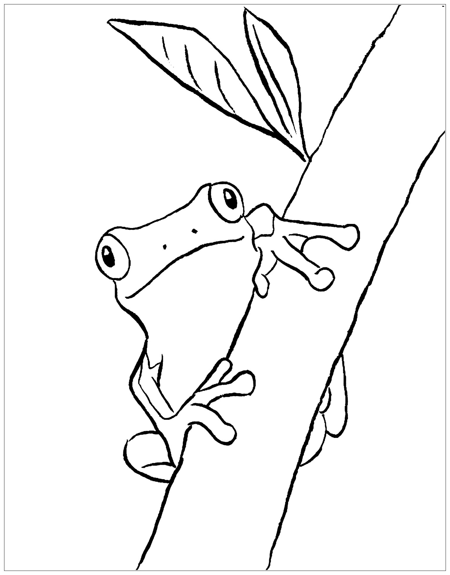 Coloring Pages Of Frogs Printable
