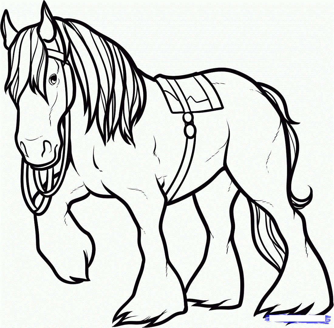 Horses Printable Coloring Pages