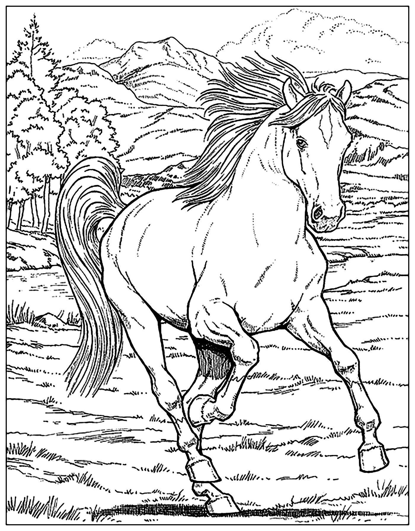 Free Printable Horse Coloring Pages