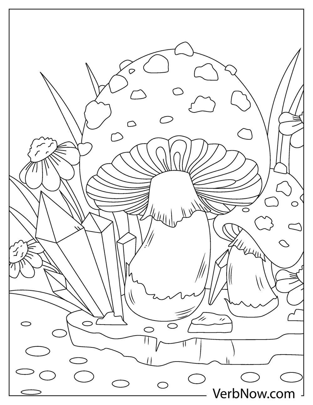 Free MUSHROOM Coloring Pages Book For Download Printable PDF VerbNow