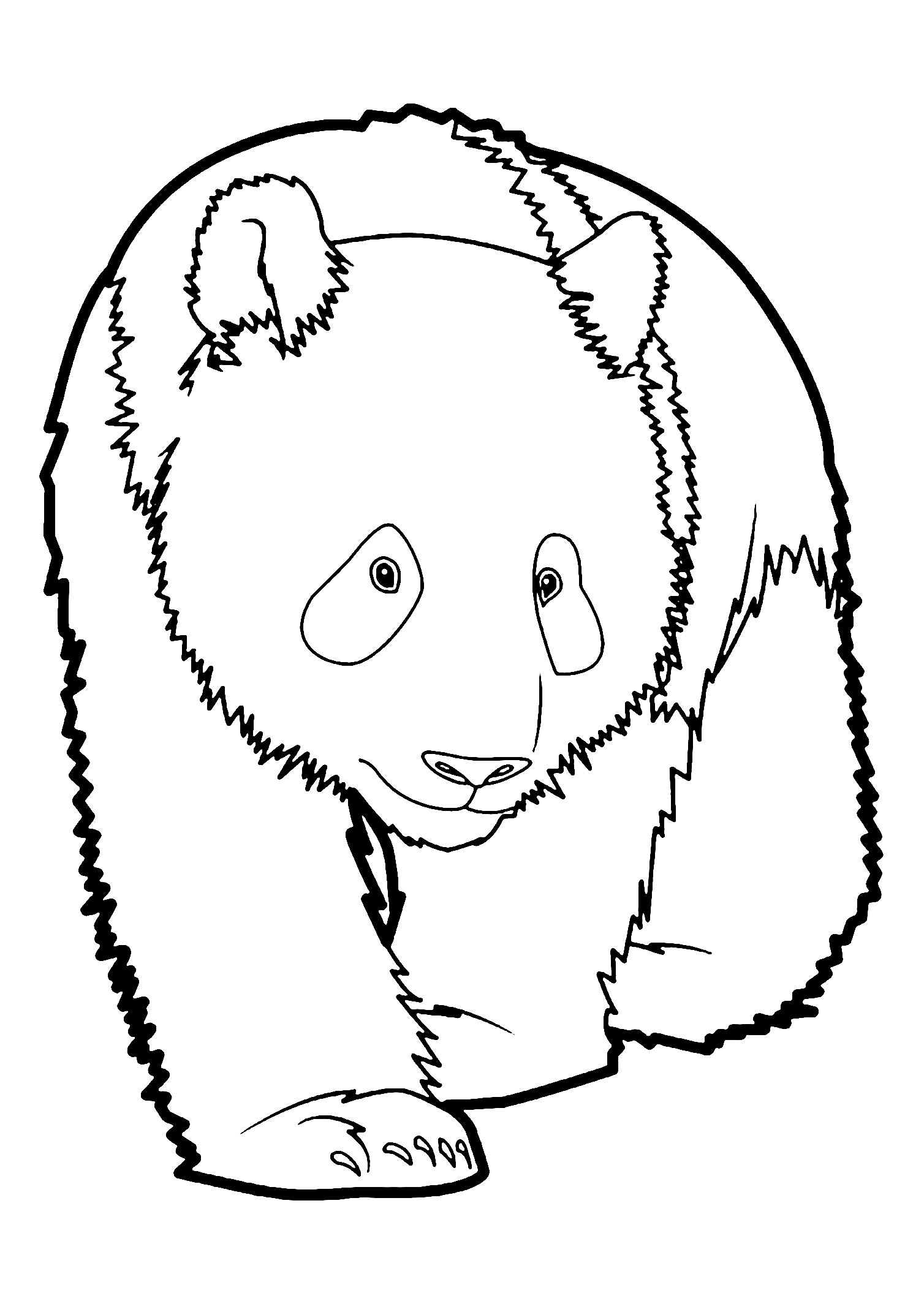 Free Panda Coloring Page To Download Panda Coloring Pages For Kids