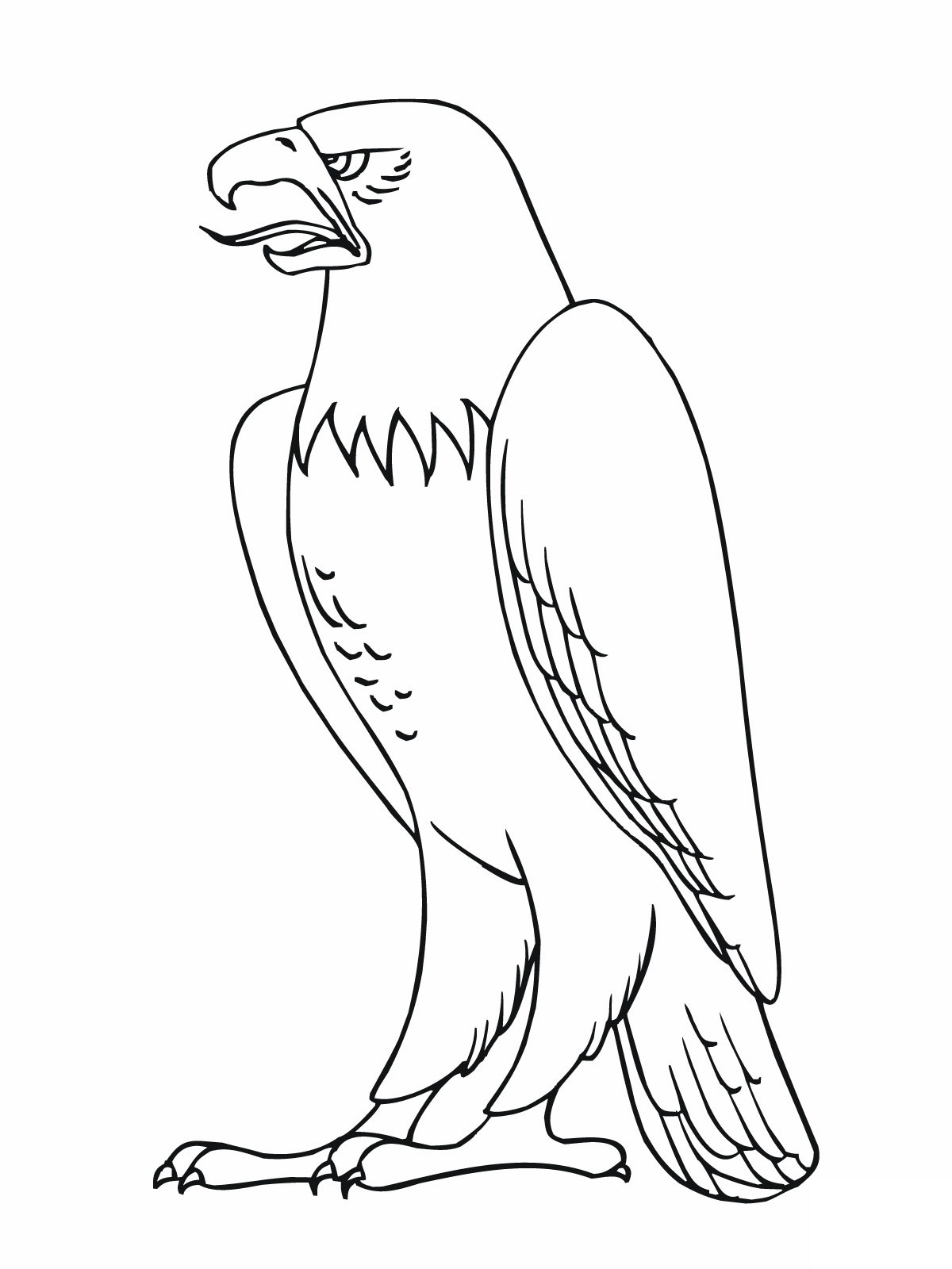 Eagle Coloring Pages Printable