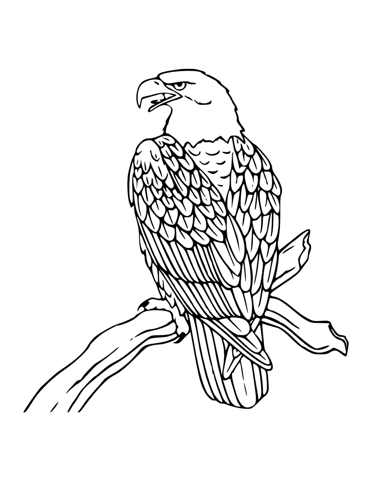 Bald Eagles Coloring Pages Printable