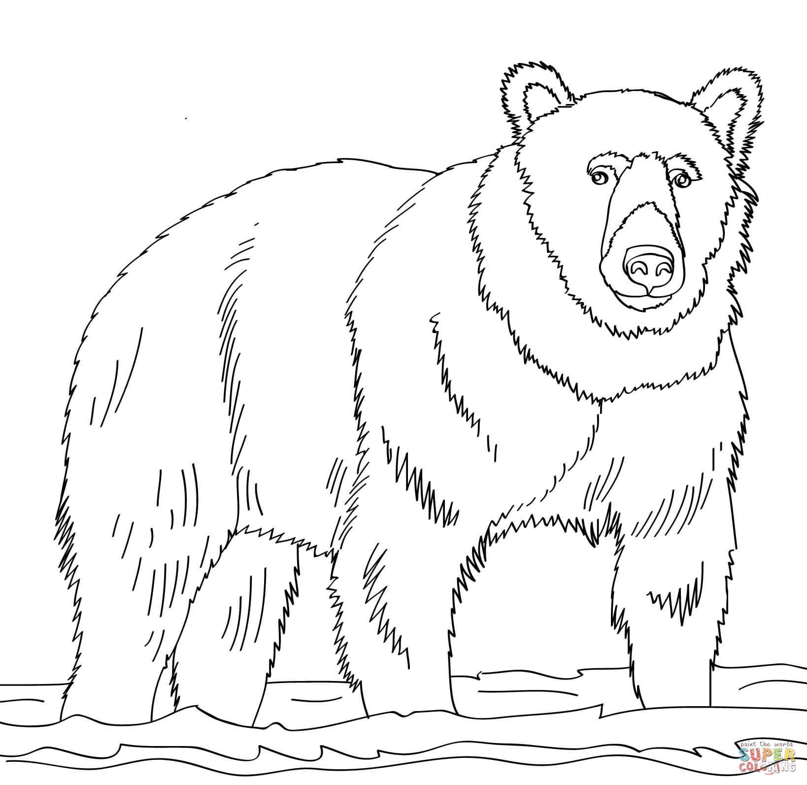 Free Printable Bear Coloring Pages