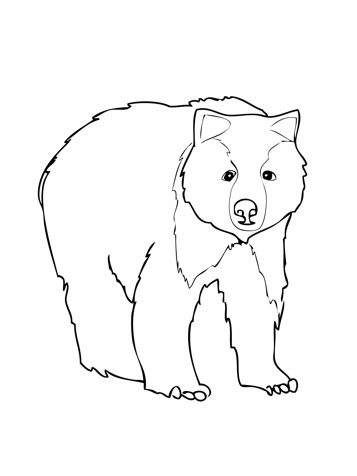 Bear Coloring Pages Printable