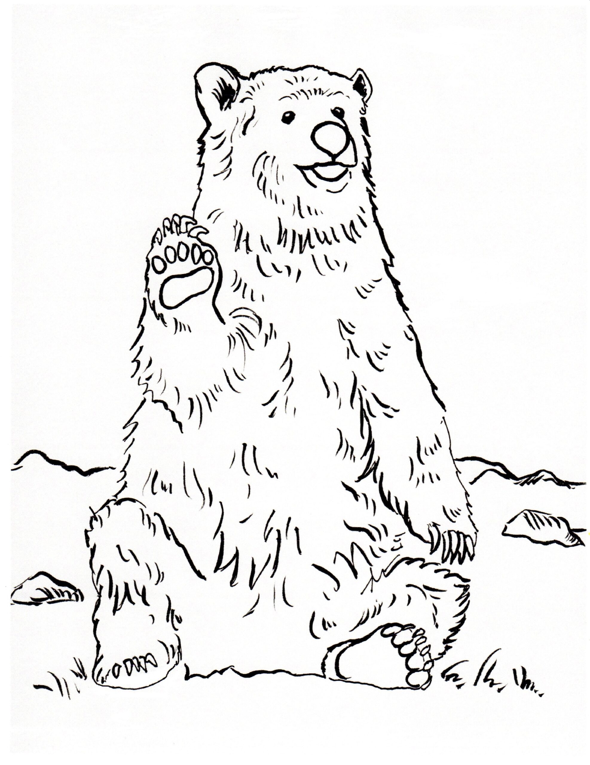Free Printable Bear Coloring Pages