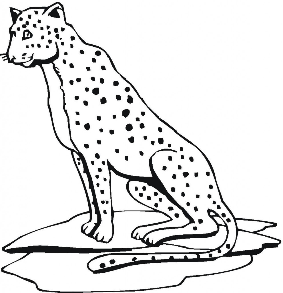 Cheetah Coloring Page Printable