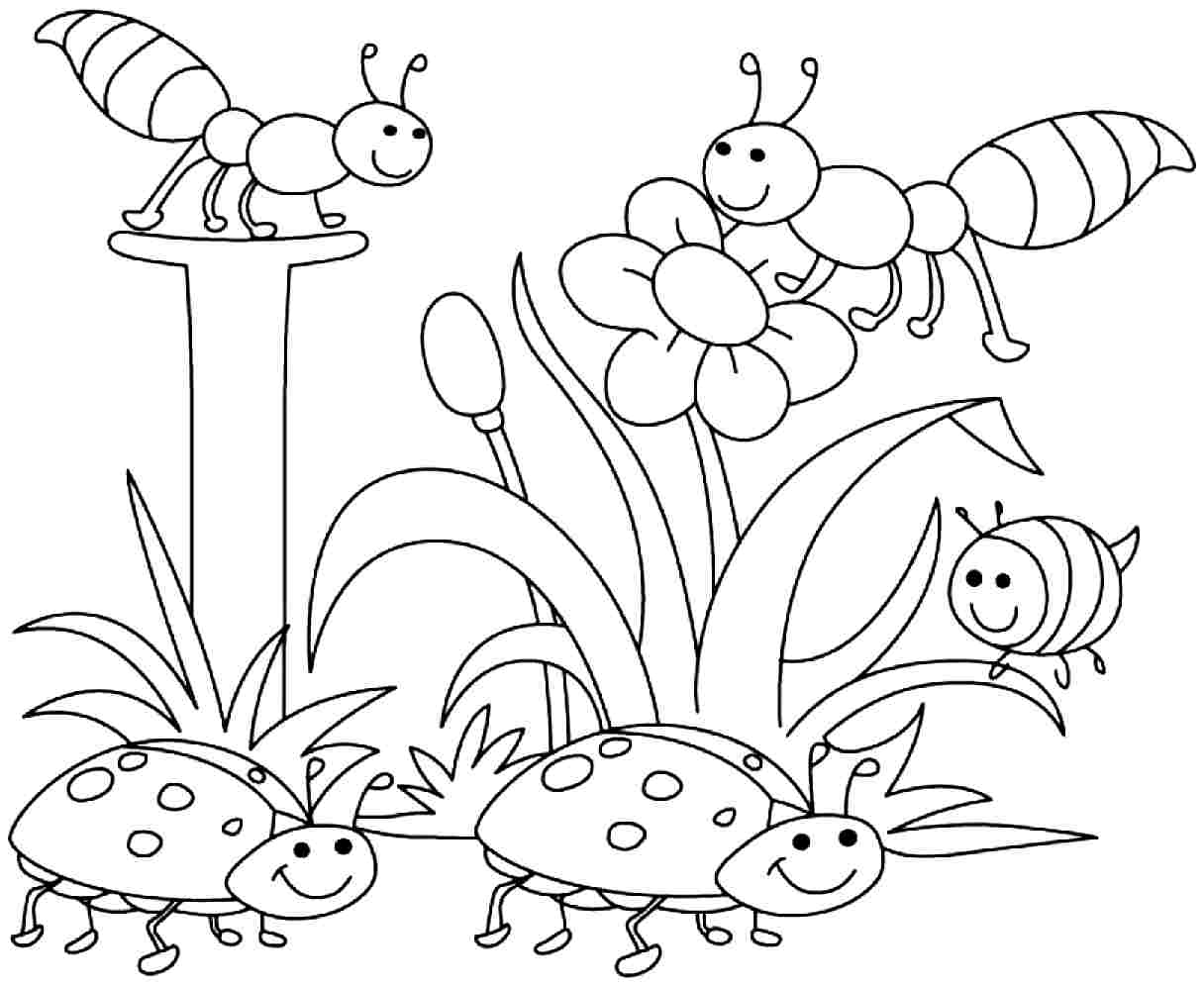 Free Printable Coloring Pages Preschool