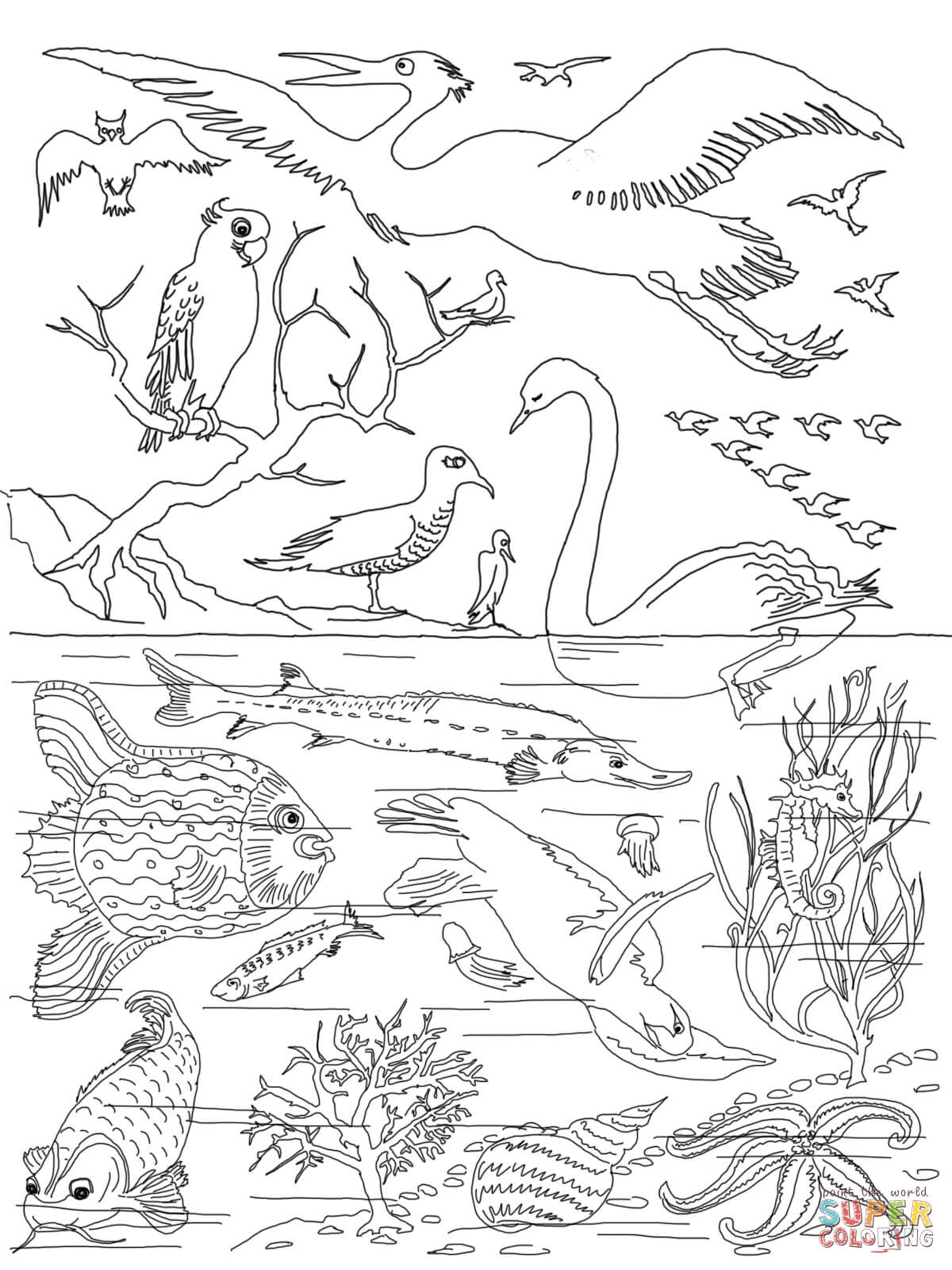 Printable Creation Coloring Pages