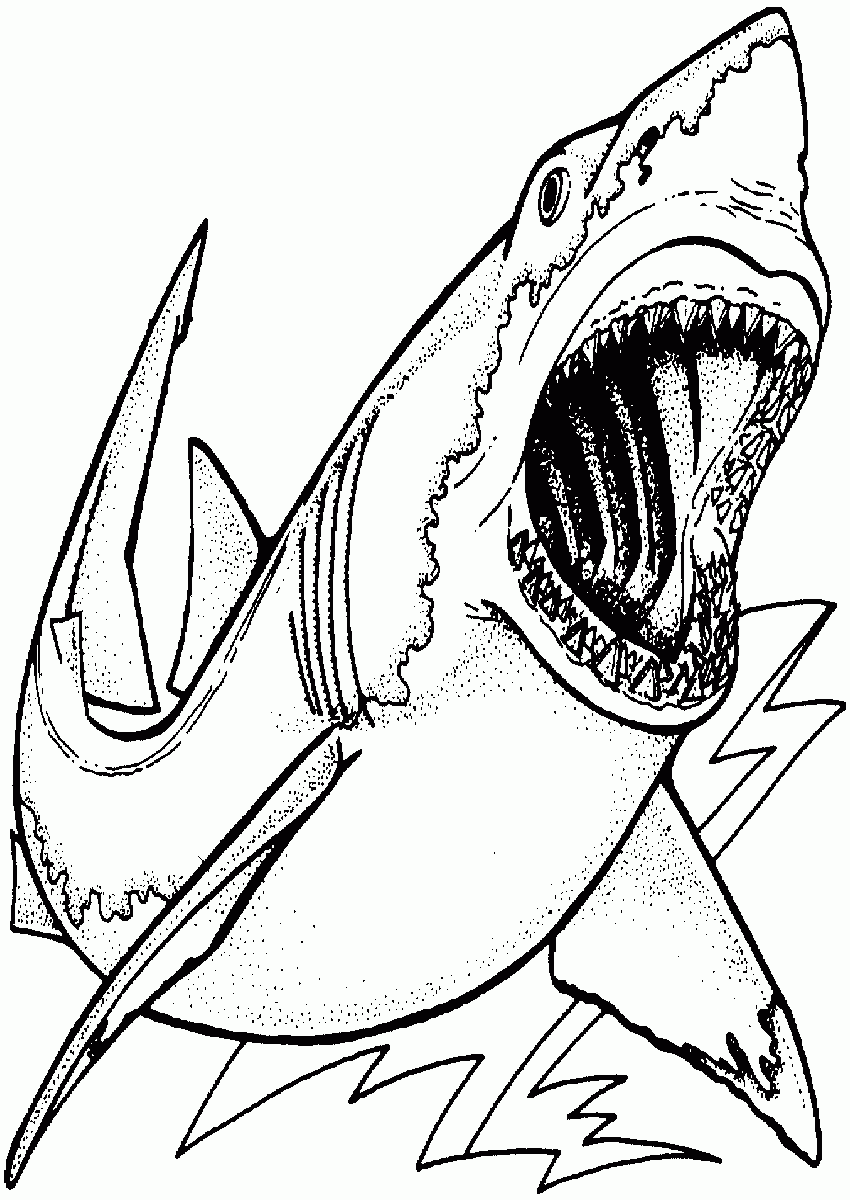 Free Printable Coloring Pages Sharks