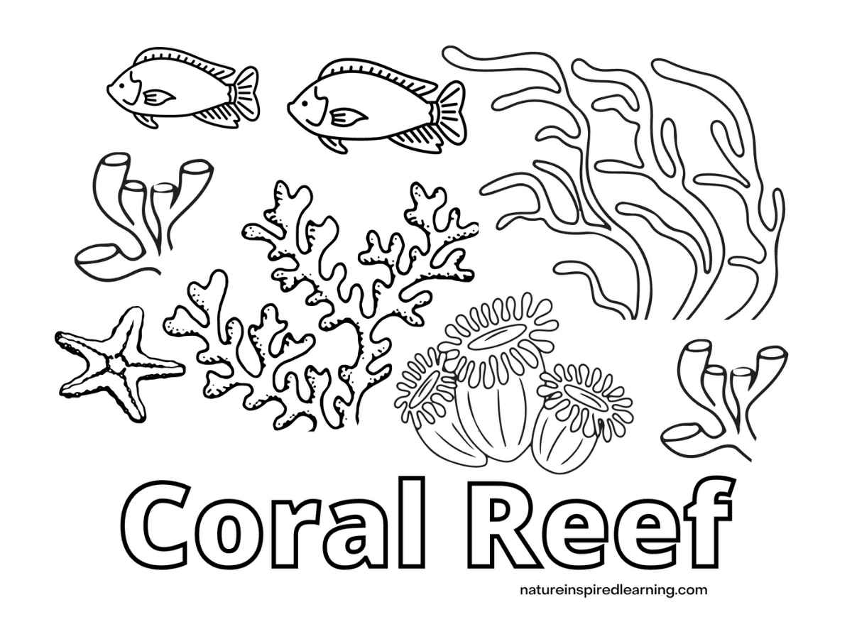 Free Printable Coral Reef Coloring Pages