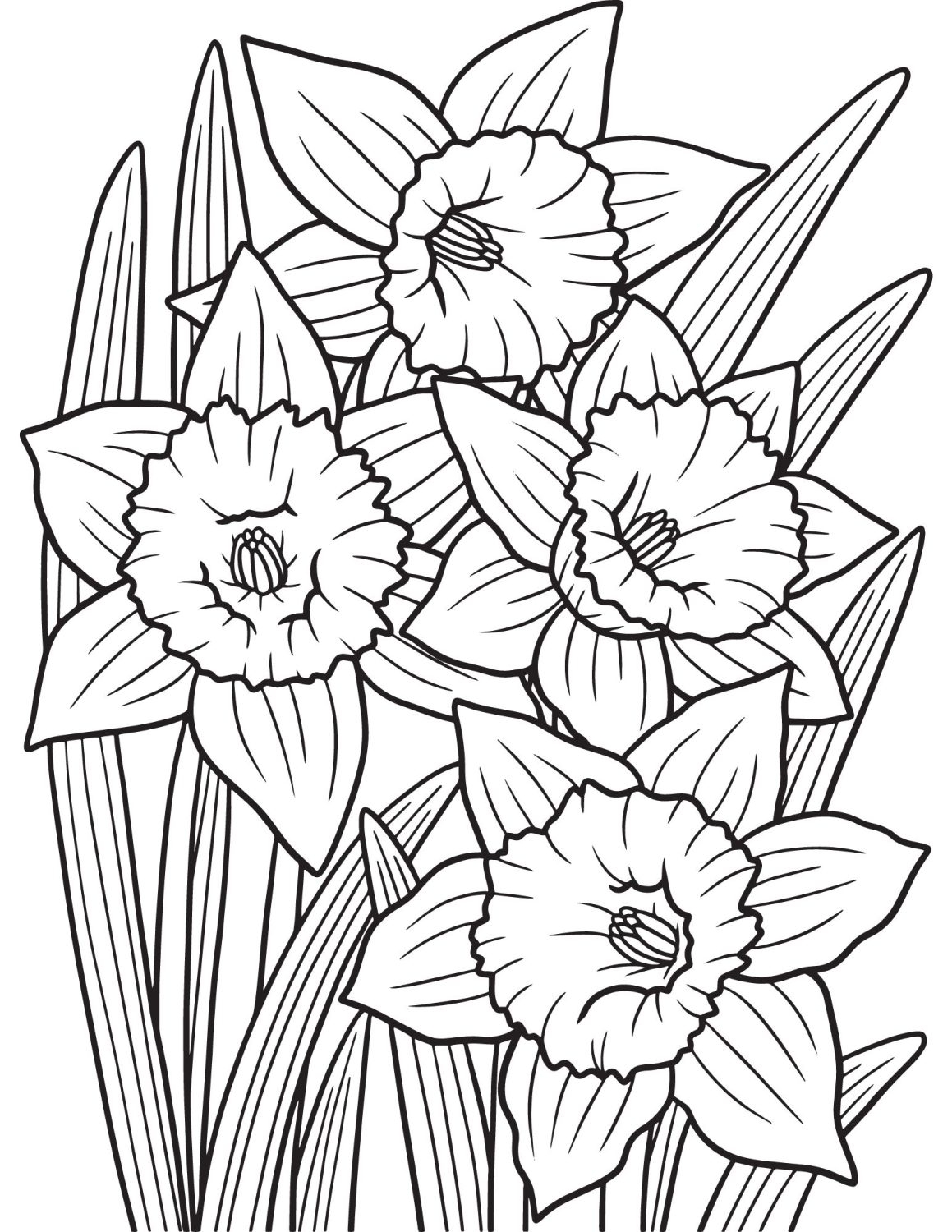 Printable Daffodil Coloring Pages