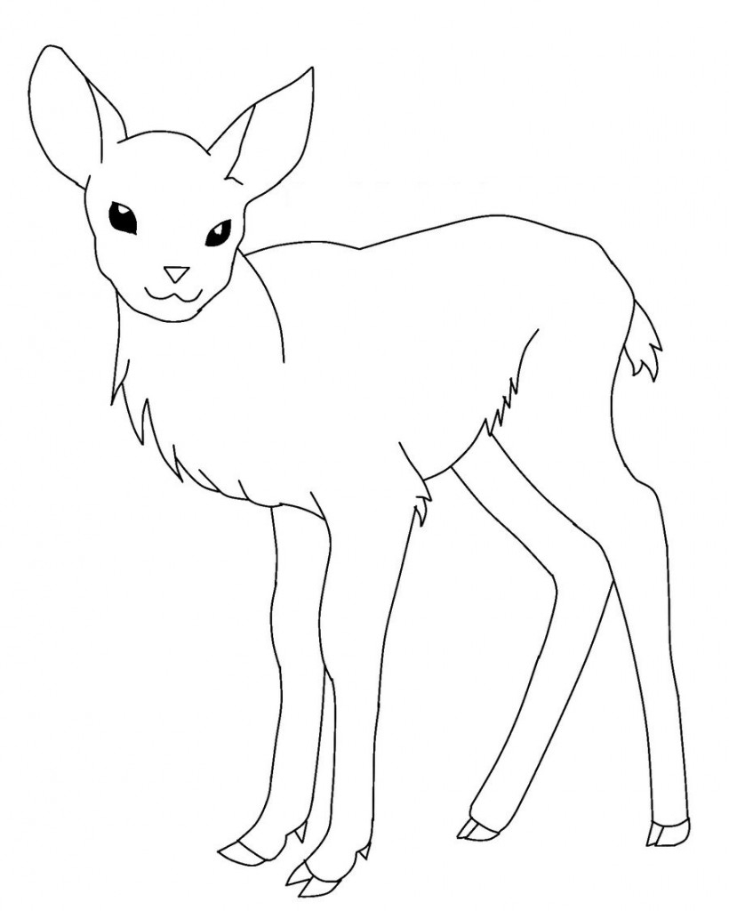 Free Printable Deer Coloring Pages For Kids