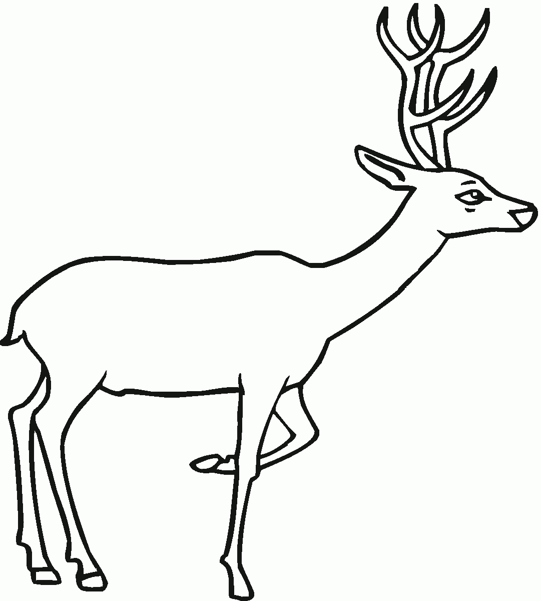 Free Printable Deer Coloring Pages For Kids