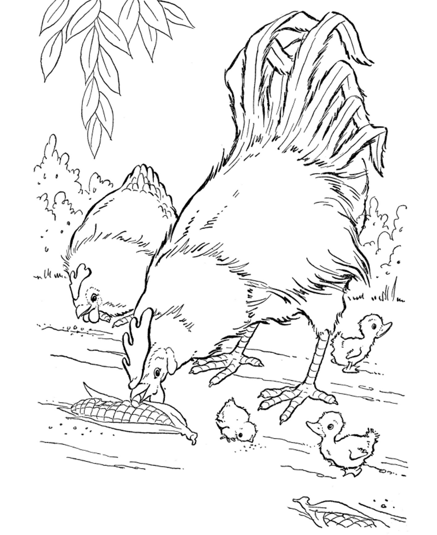 Farm Animals Coloring Pages Printable