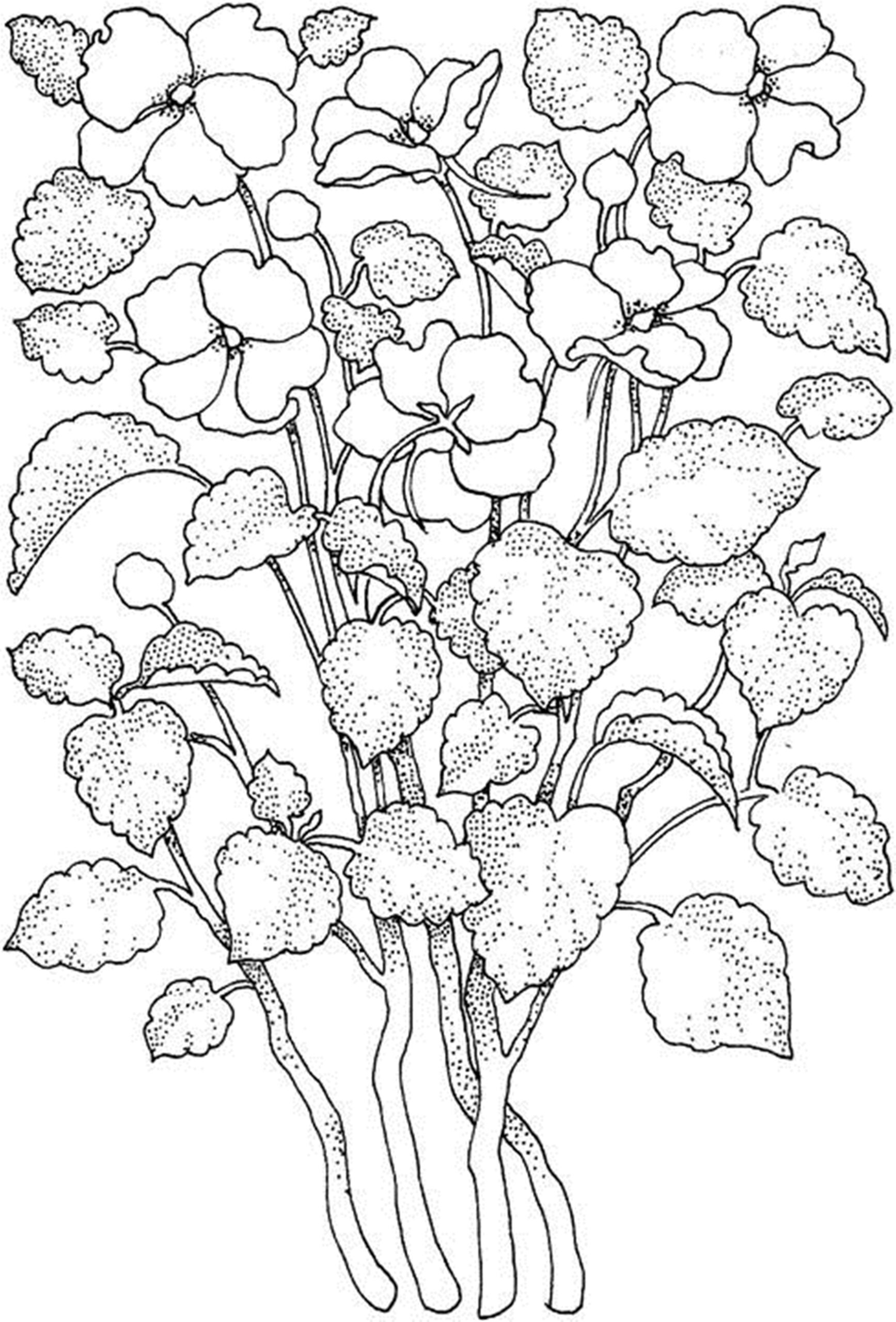 Flowers Printable Coloring Pages
