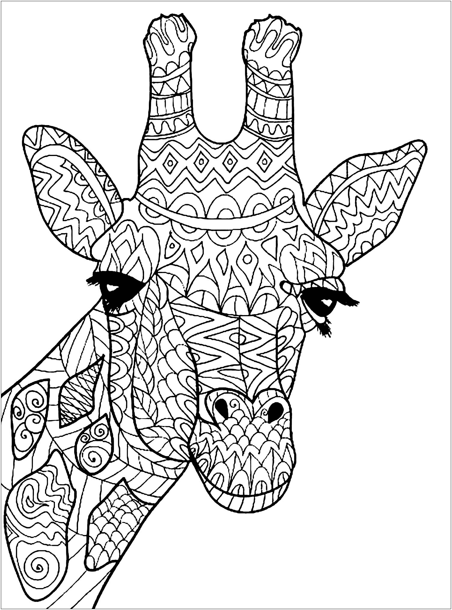 Free Printable Giraffe Coloring Pages For Kids Giraffe Coloring Pages Free Download On