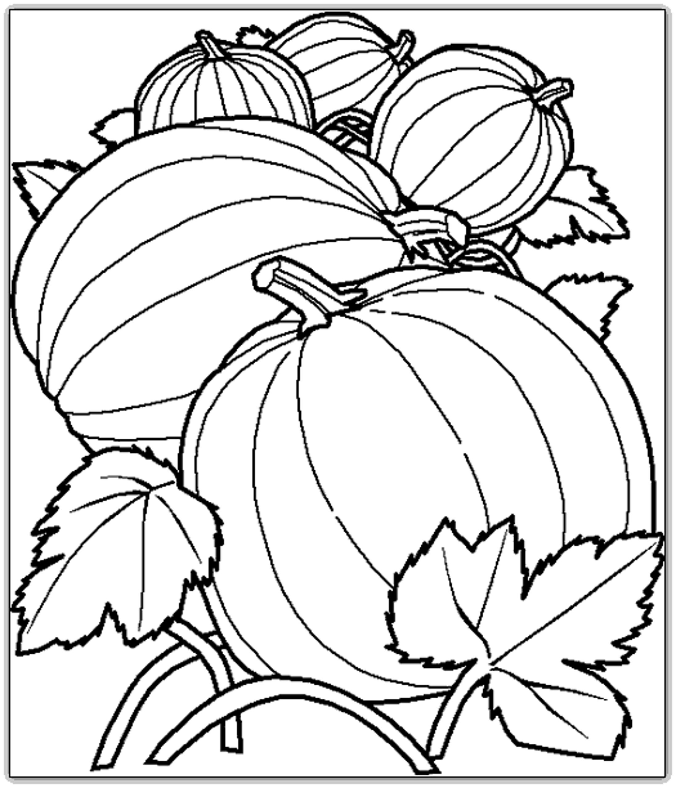 Free Printable Harvest Coloring Pages Coloring Pages