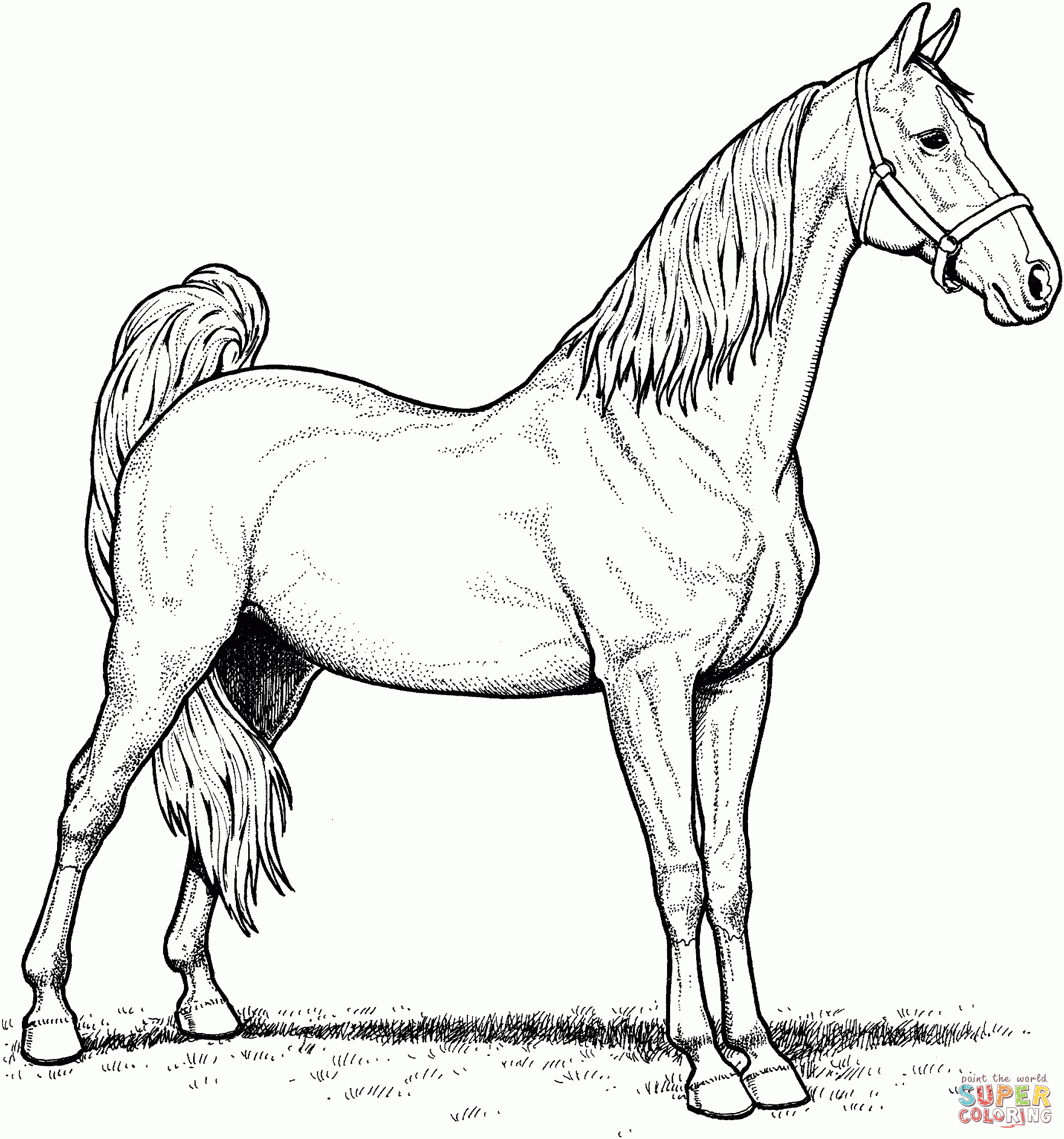 Free Printable Horse Coloring Pages For Adults Coloring Home