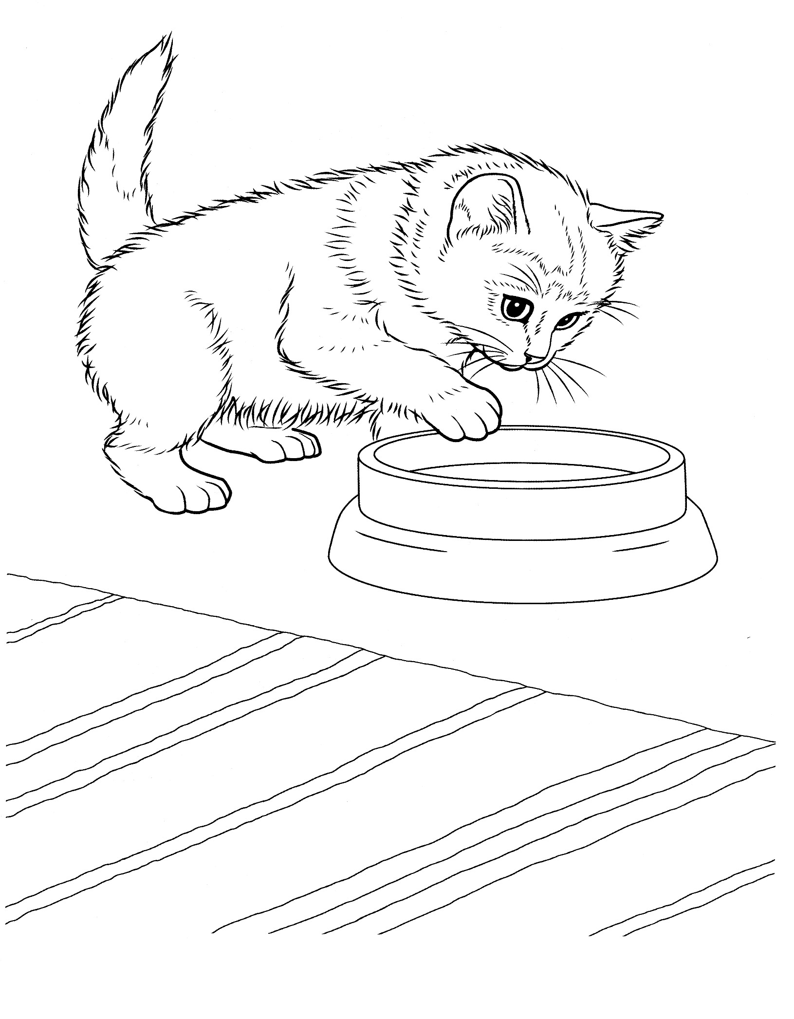 Kitten Coloring Pages Printable