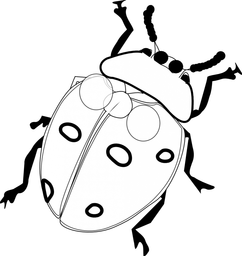 Free Printable Ladybug Coloring Pages For Kids