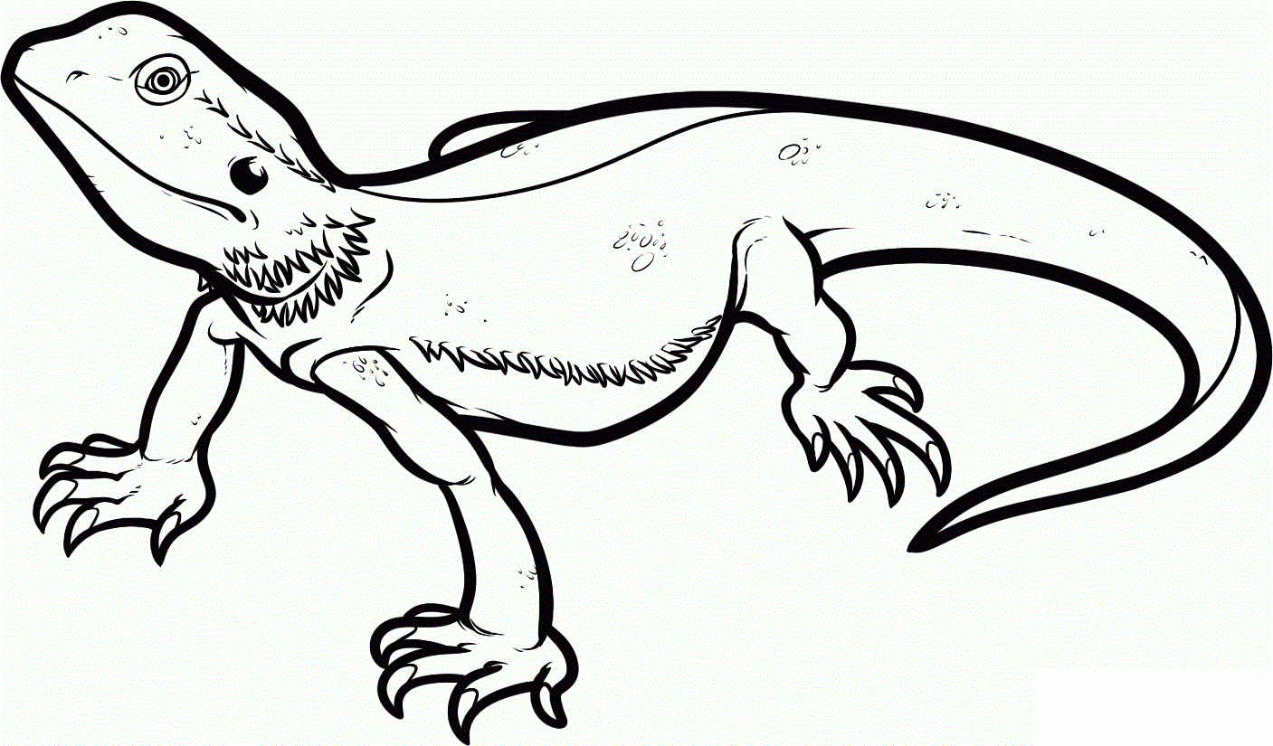 Free Printable Lizard Coloring Pages