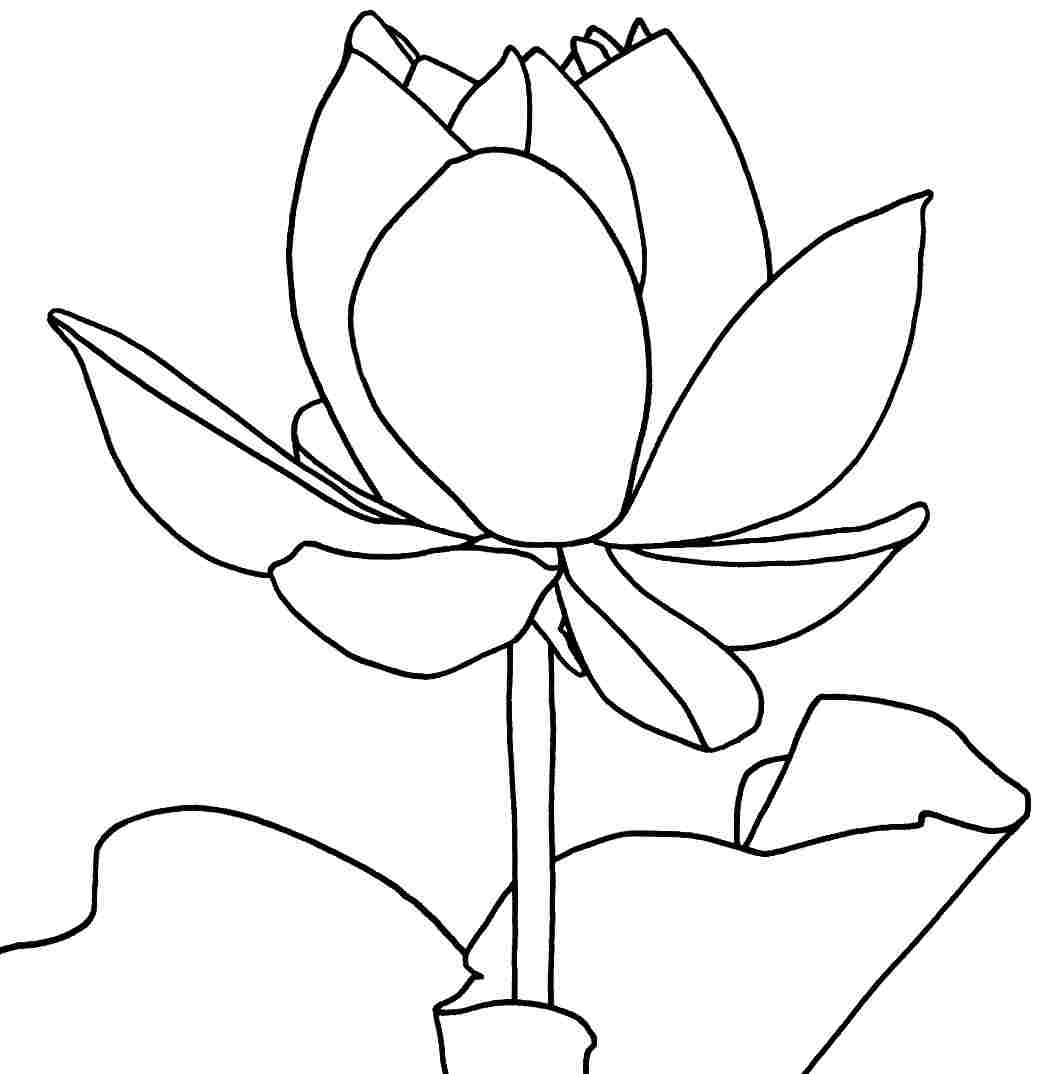 Printable Lotus Flower Coloring Pages