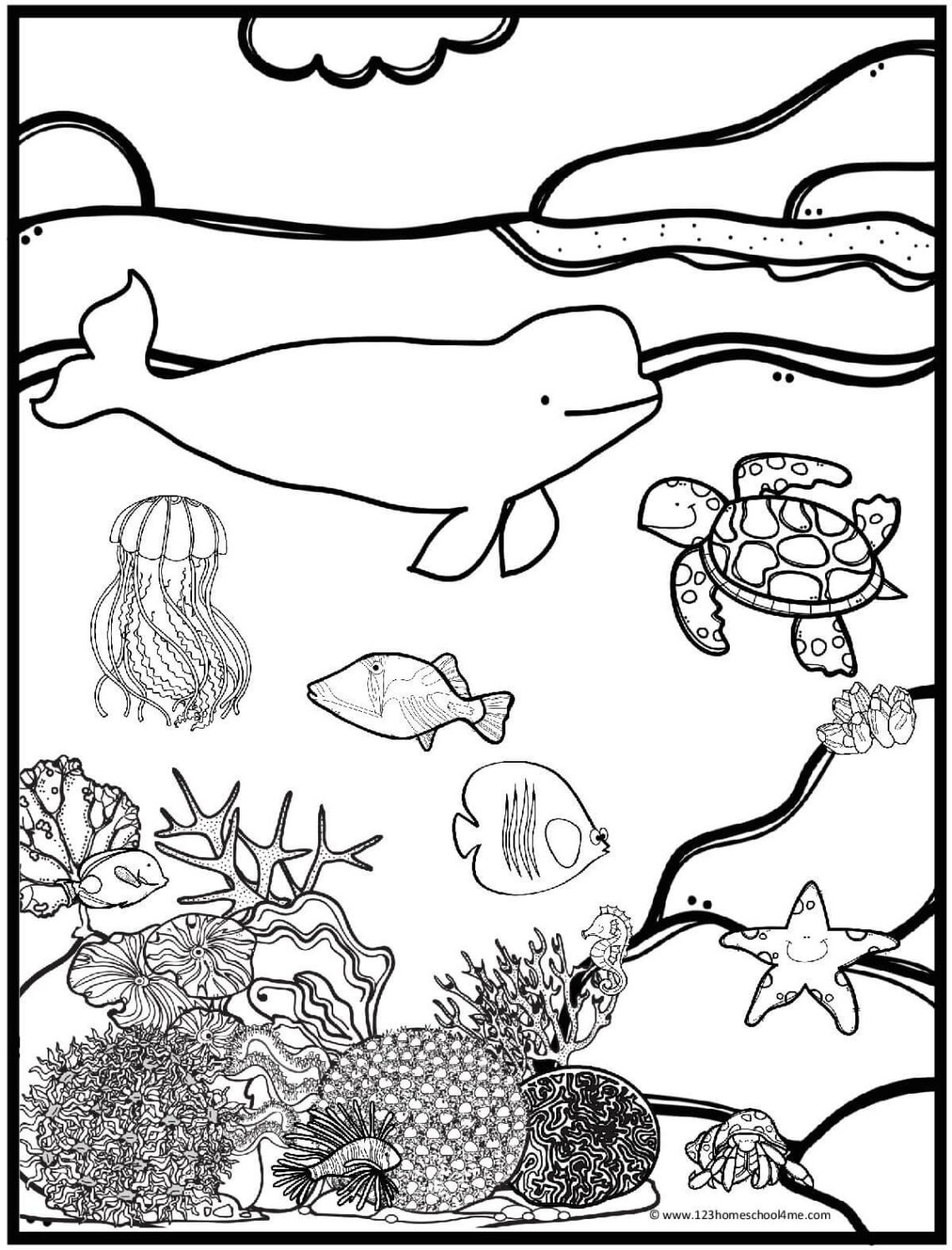 Ocean Color Pages Printable