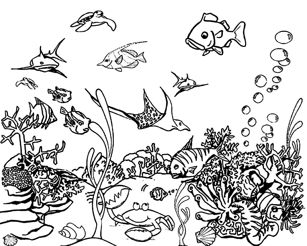 Free Printable Ocean Coloring Pages