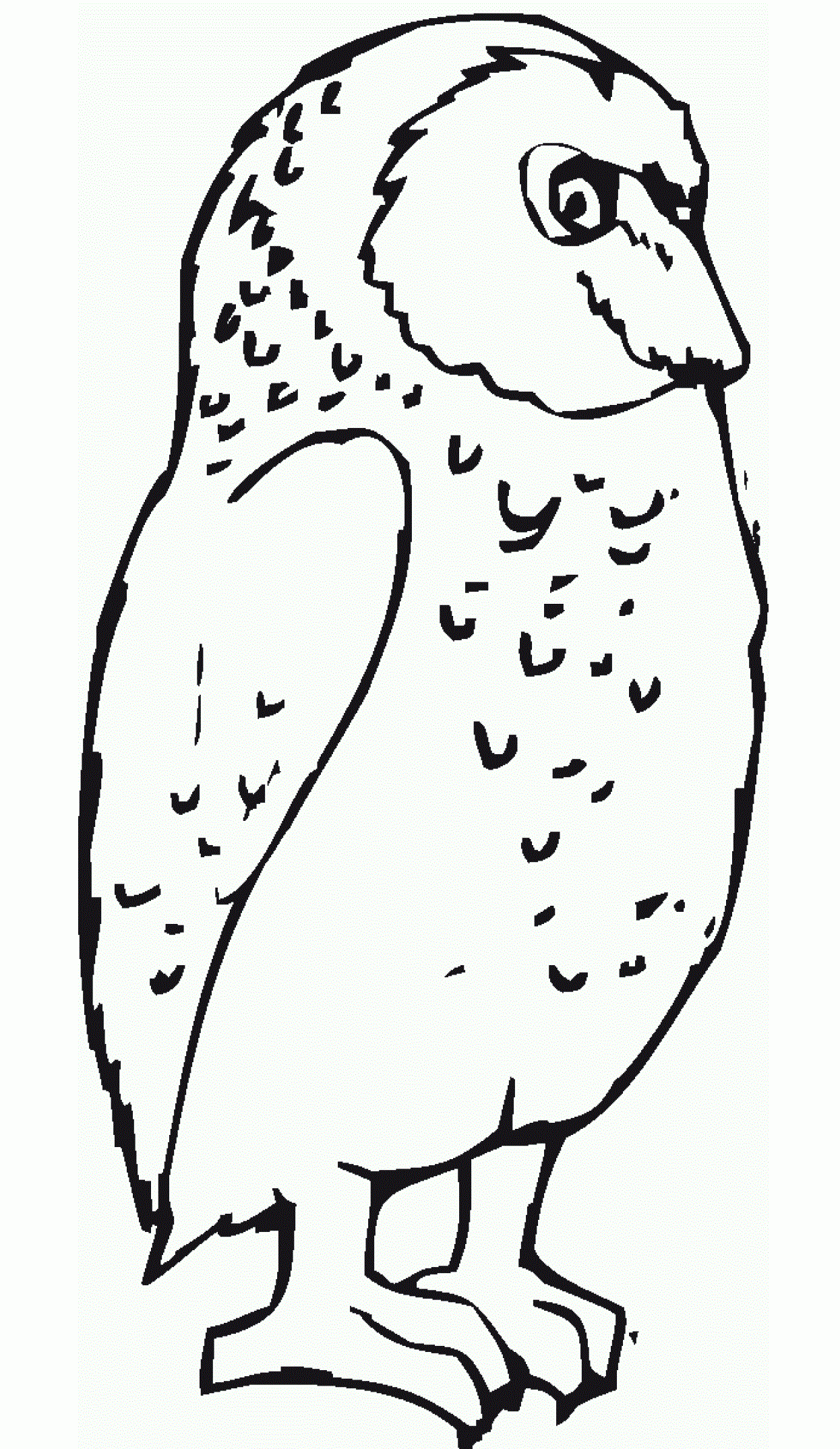 Free Printable Owl Coloring Pages For Kids