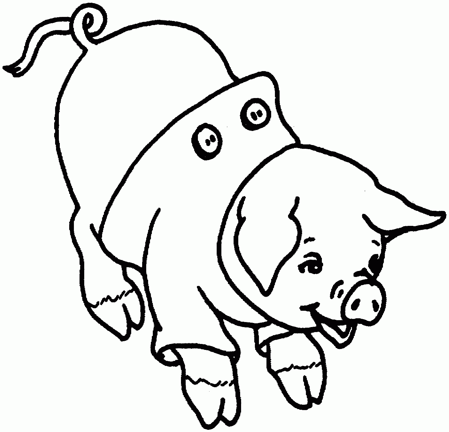 Free Pig Color Pages Printable