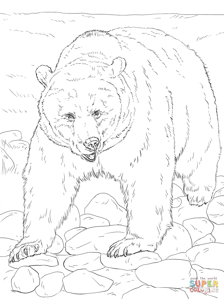 Free Printable Realistic Animal Coloring Pages Free Printable