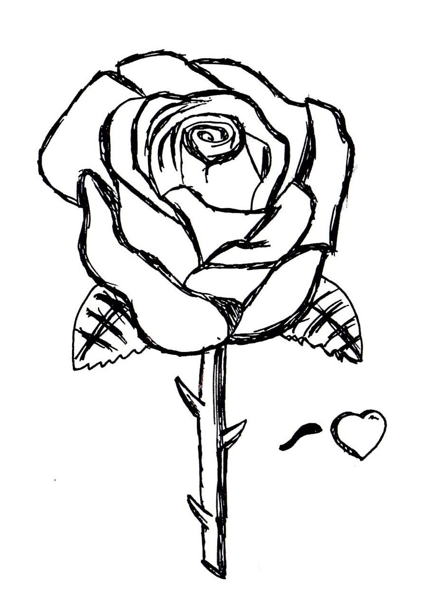 Printable Rose Flower Coloring Pages