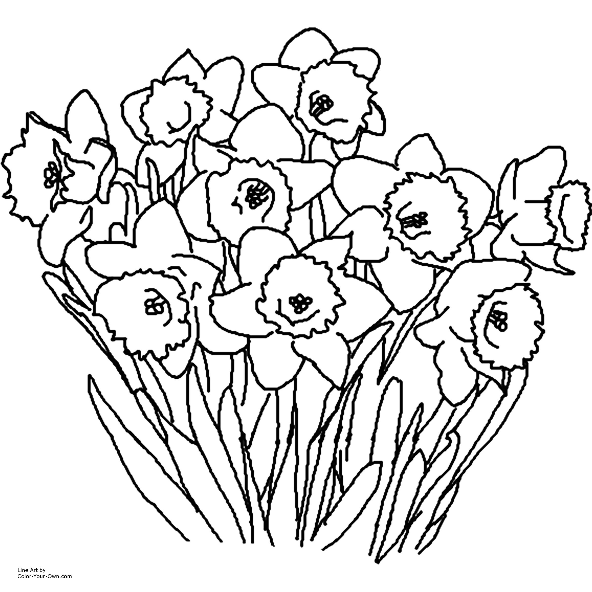 Printable Coloring Pages Spring Flowers