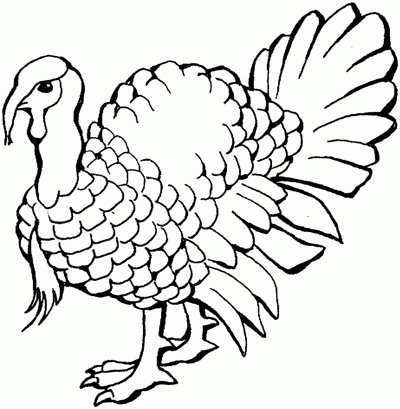 Coloring Page Printable Turkey