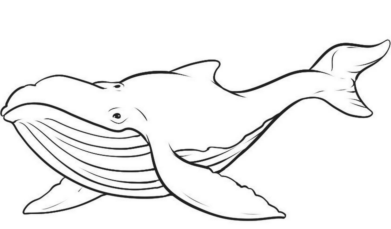 Printable Sea Whale Coloring Pages