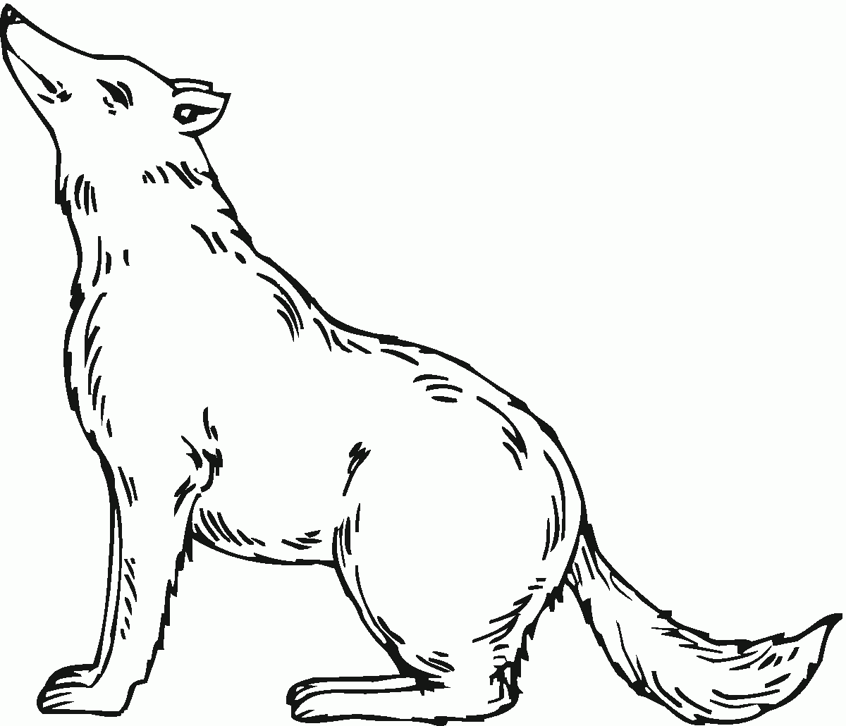 Wolf Coloring Pages Printable